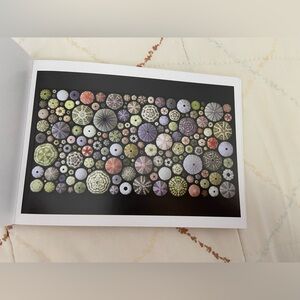 Postcard - Biophilia: The Art of Christopher Marley Urchin Tests
